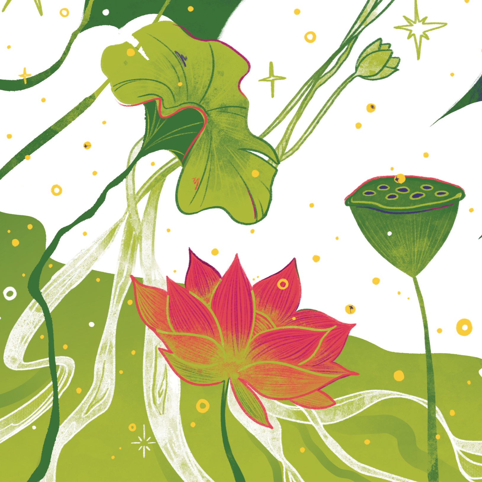 Illustration of green lilypads and a red lotus flower